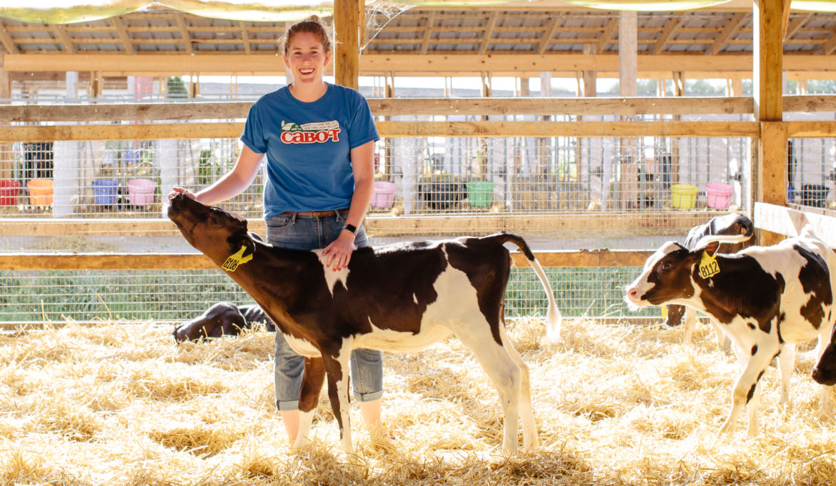 Allison Akins On Working With The Cabot Creamery Cooperative